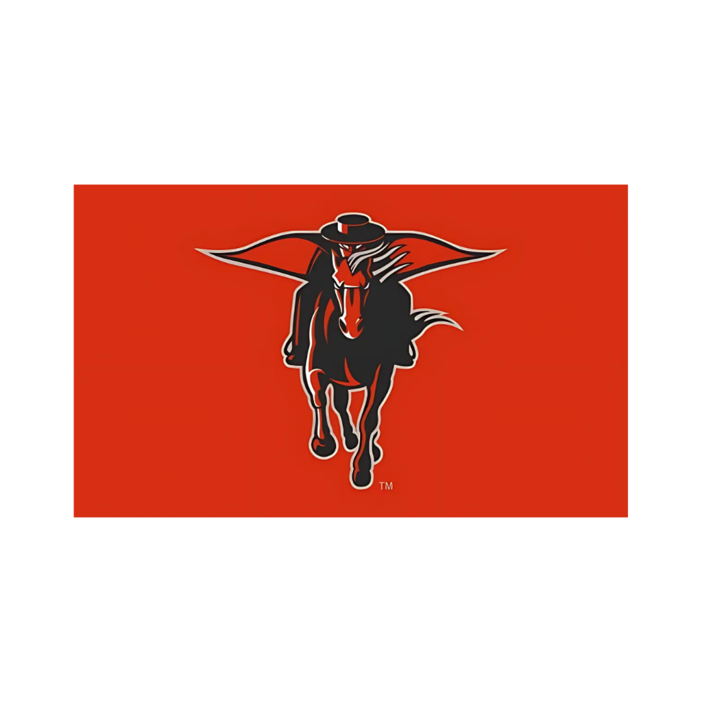Masked Rider 3X5 Red Flag