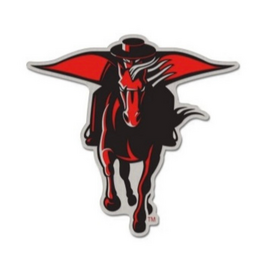 Collectible Pin - Masked Rider