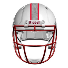 Riddell "Too Cold" Mini Football Helmet