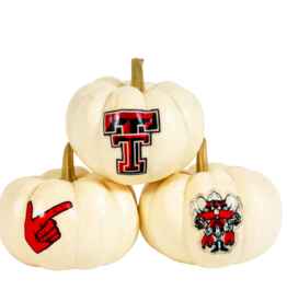 Decorative Logo Pumpkin - Mini