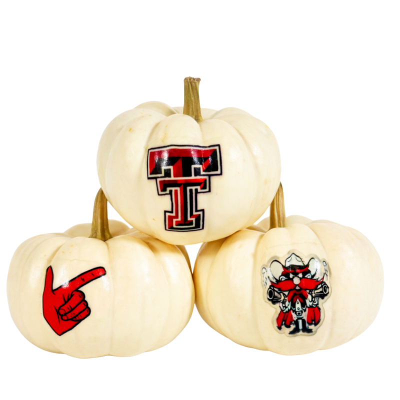 Decorative Logo Pumpkin - Mini