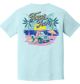 Comfort Colors Spring Break Jeep & Dog Short Sleeve Tee