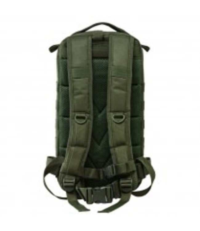 VISM - Small Backpack - Green