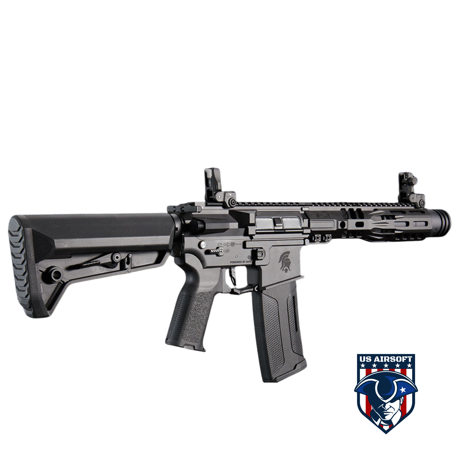 Sl9sd Rifle SLR 9