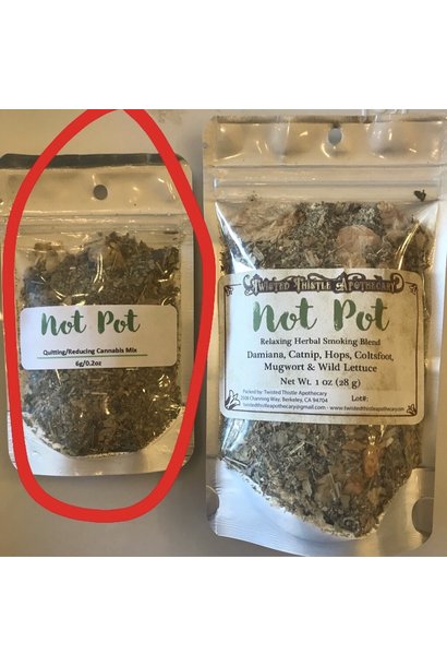 Not Pot | Mini