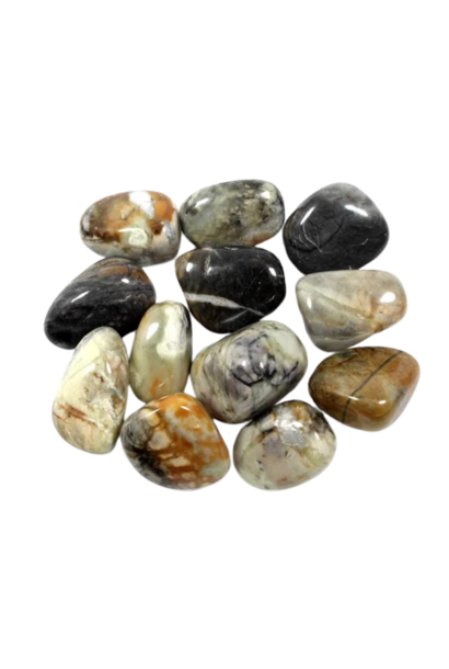 Tumbled Polished Stones | Picasso Jasper