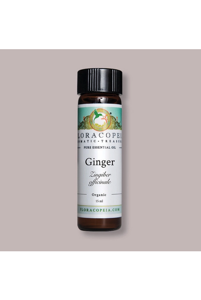 Ginger Essential Oil