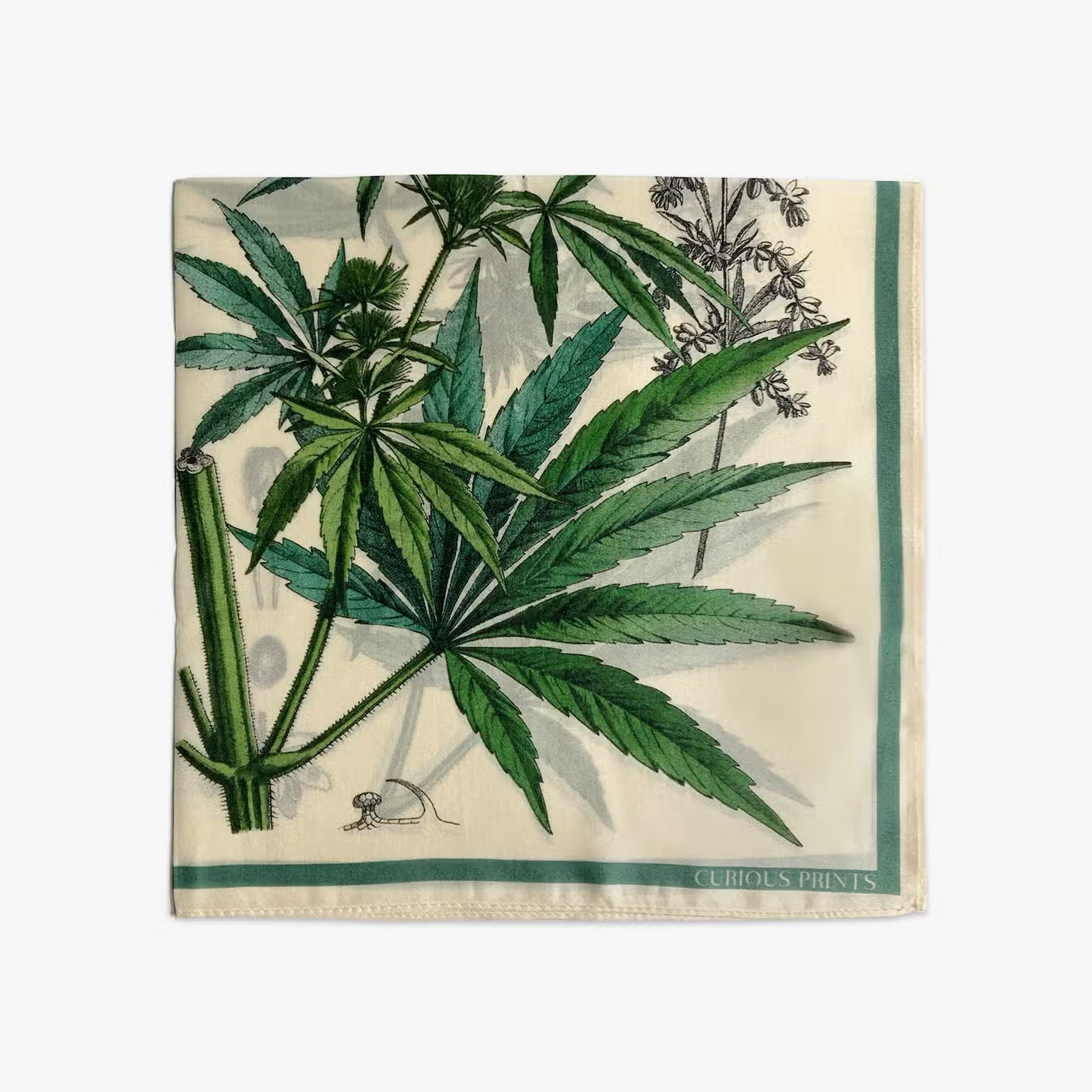 Silk Scarf | Botanical Cannabis-1