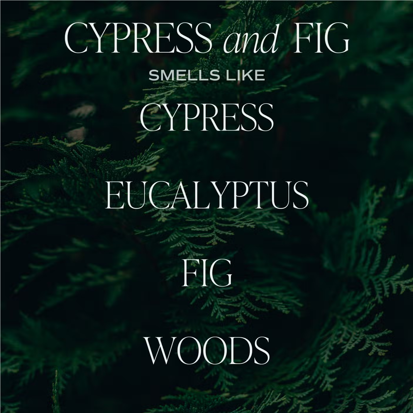 Candle | Cypress + Fig | 11oz-3