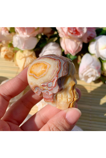 Crazy Lace Agate | Crystal Skull