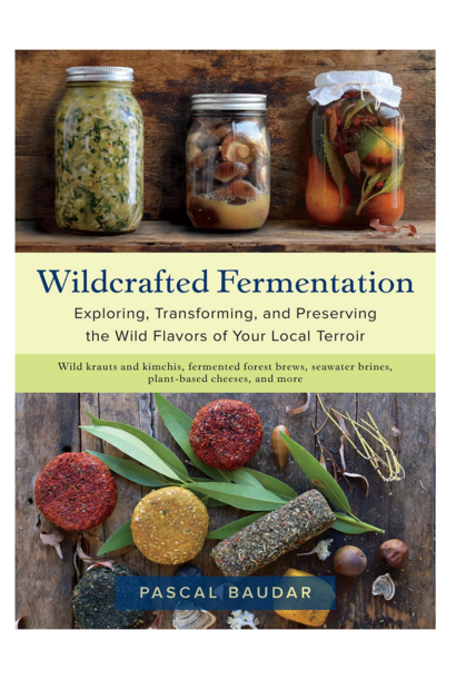 Wildcrafted Fermentation | Book