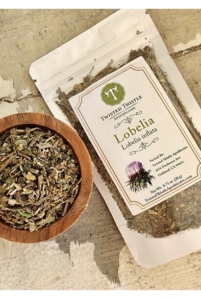 Lobelia