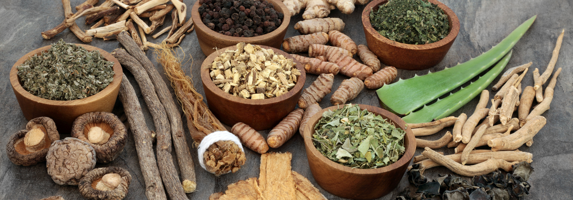 5 Best Herbs to Support the Nervous System Naturally
