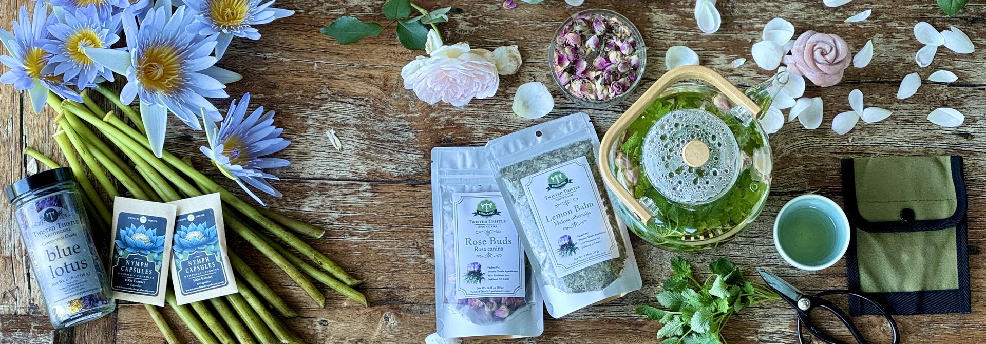 What Is Blue Lotus? Ancient Plant Medicine for Relaxation & Mindfulness