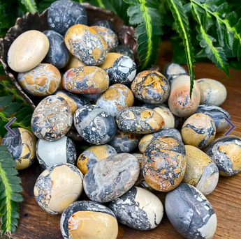 Maligano Jasper