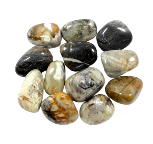 Picasso Jasper