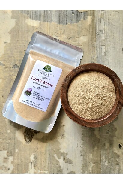 Lion's Mane Mushroom Extract