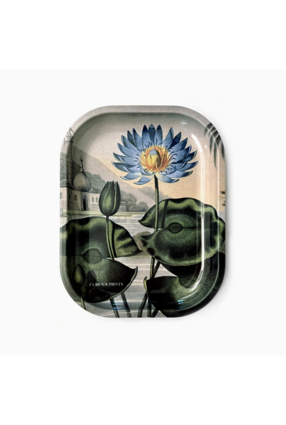 Blue Lotus Water Lily | Decorative Tray