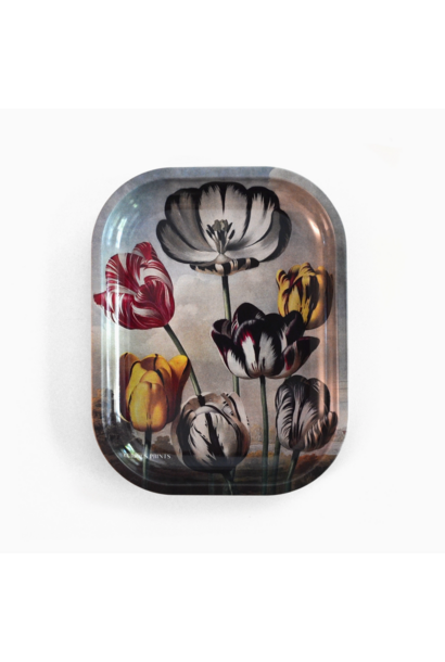 Botanical Tulip | Vintage Inspired Decorative Tray