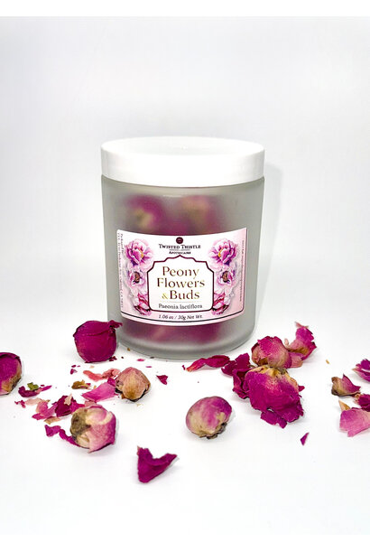 Peony full flower in Jar | 32gm