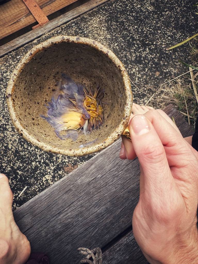 Pages for the Waning Light...-1