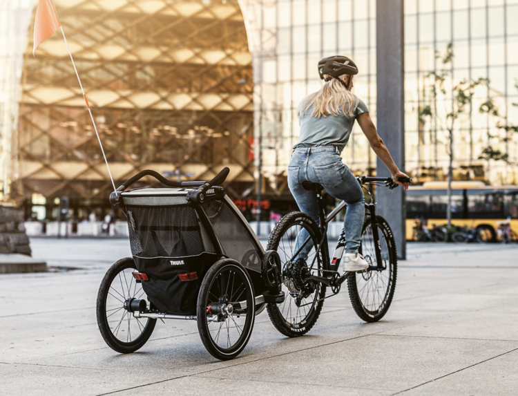 THULE Chariot Lite 2-Seater