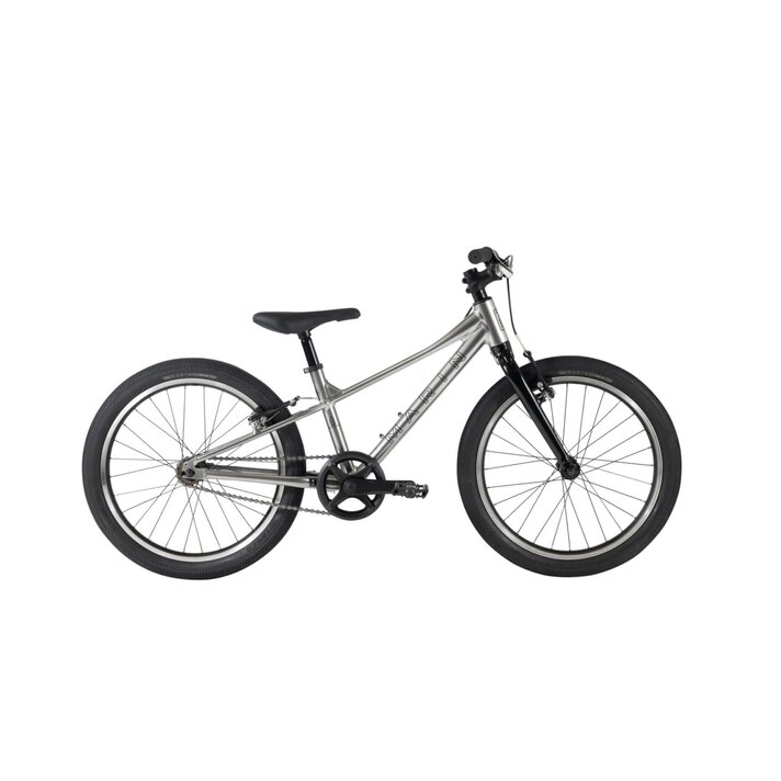 20-Inch (5-8 yr. old) - Dream Cyclery