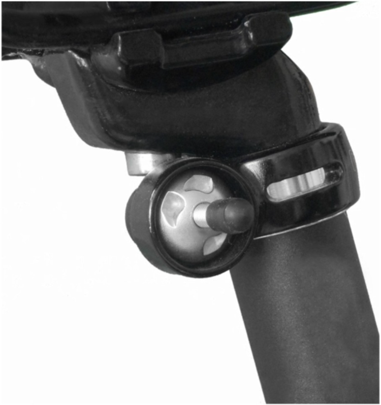 Pinhead SEATPOST OR SADDLE LOCK FOR QR