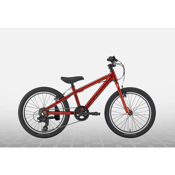 Marin Marin Donky Jr, 6sp, Metallic Orange, 20"