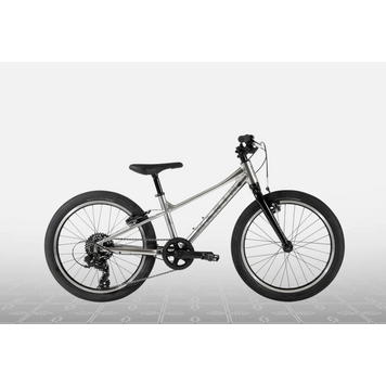 Marin Marin Coast Trail, 20", 7sp, Silver/black