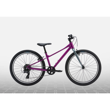 Marin Marin  Coast Trail, 24", 7sp, Purple