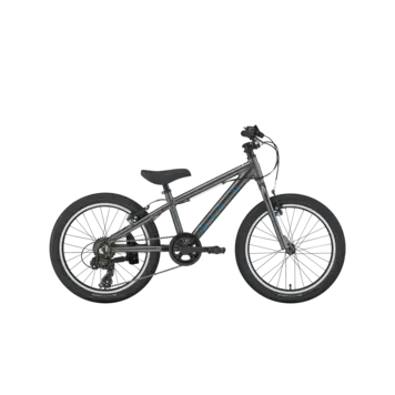 Marin Donky Jr, 20", 6sp, Metallic Grey
