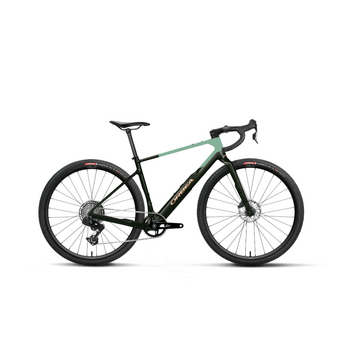 ORBEA 2026 - ORBEA TERRA M31eTEAM 1X L Custom