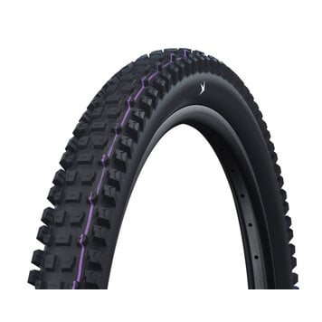 Schwalbe Schwalbe Albert Radial Pro Trail Ultra Soft 29" Tire – Black