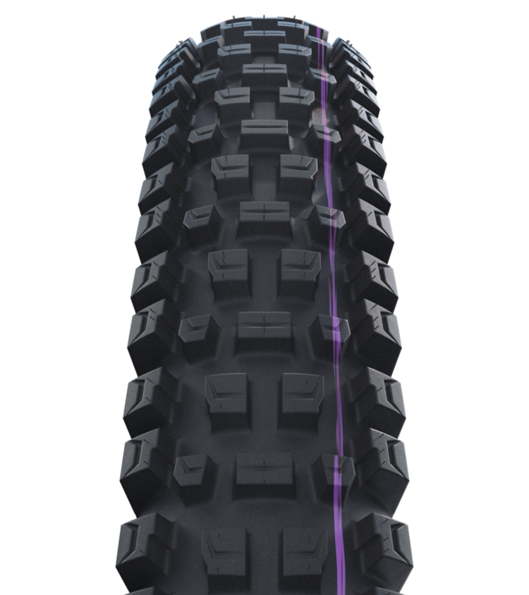 Schwalbe Schwalbe Albert Radial Pro Trail Ultra Soft 29" Tire – Black