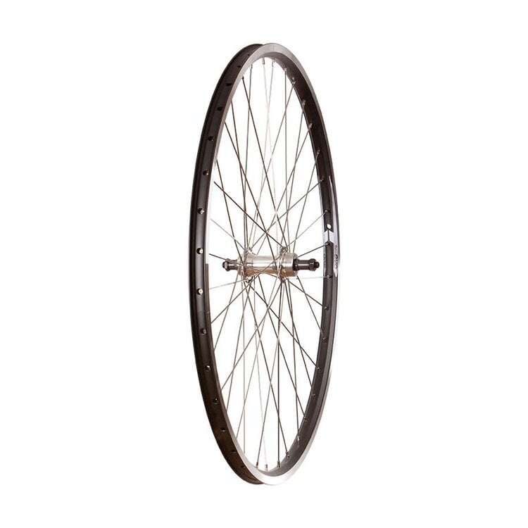 Wheel Shop Wheel Shop, Evo Tour 19 Black/ Formula FM-31-QR, Wheel, Rear, 700C / 622, Holes: 36, QR, 135mm, Rim, Freewheel
