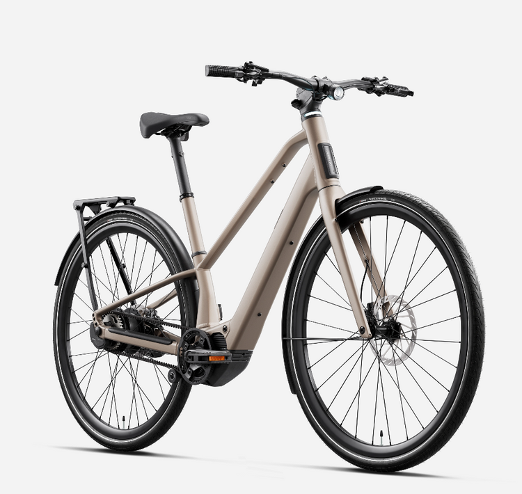 ORBEA Orbea Carpe 10 20mph, Nickel