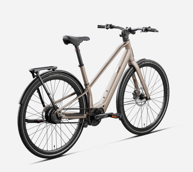 ORBEA Orbea Carpe 10 20mph, Nickel