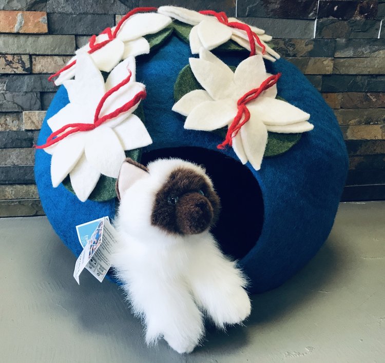 Hamro Hamro- Lilly Pond Cat Cave