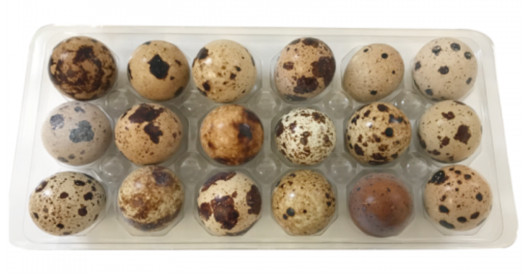 BCR BCR - Frozen Quail Egg - 18Ct.