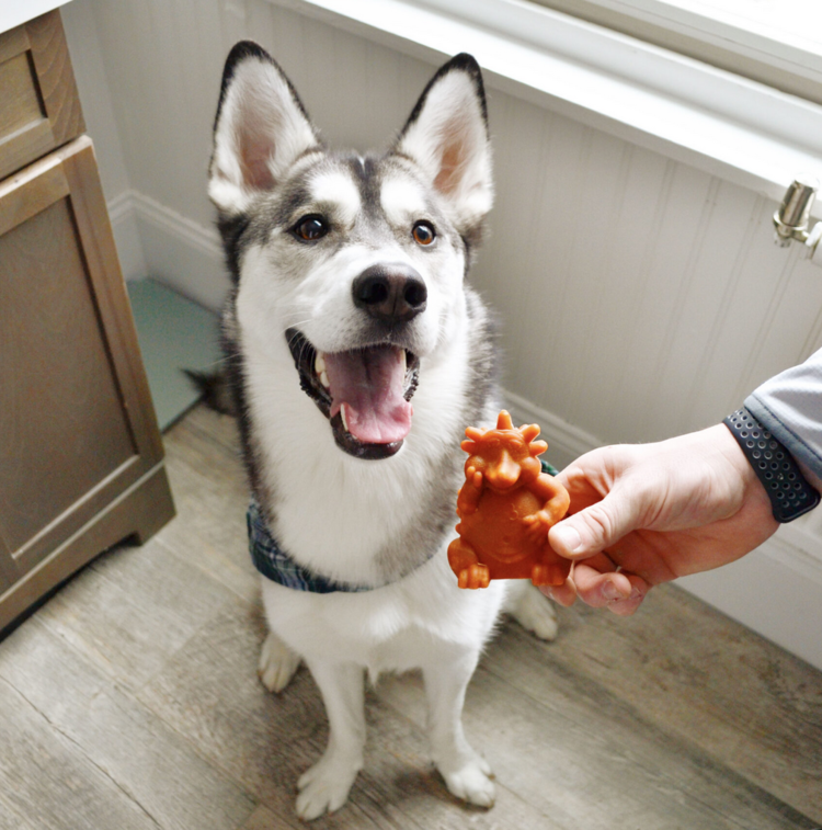 Whimzees Whimzees - Hedgehog XL