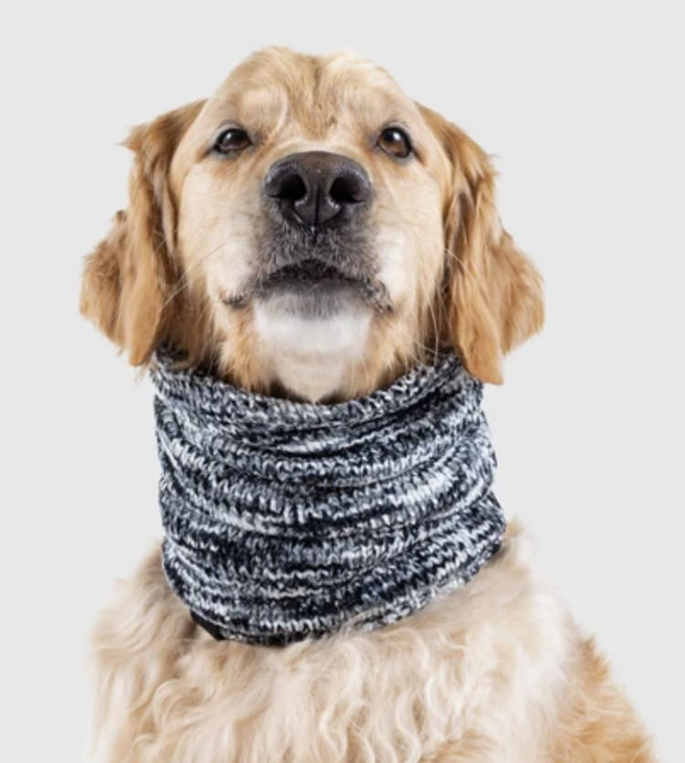 Canada Pooch Canada Pooch - Chenille Snood - Grey