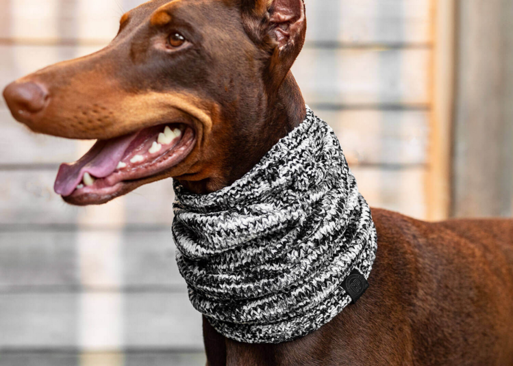 Canada Pooch Canada Pooch - Chenille Snood - Grey