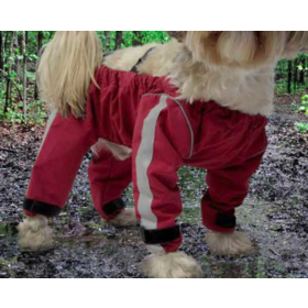 Fou Fou Dog Fou Fou - Bodyguard