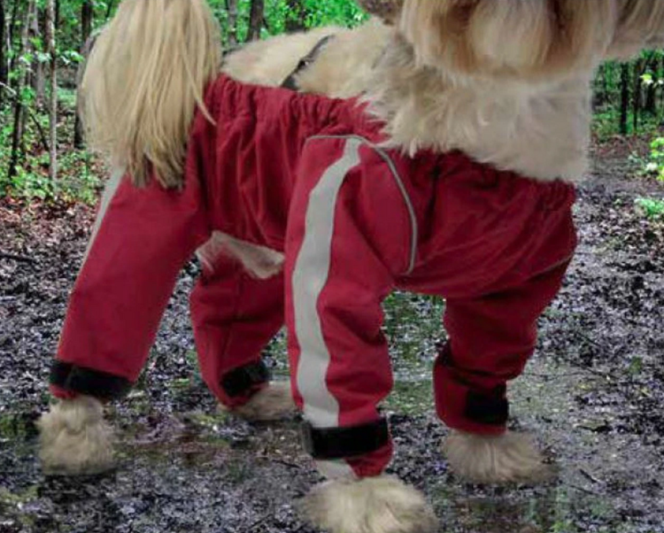 Fou Fou Dog Fou Fou - Bodyguard