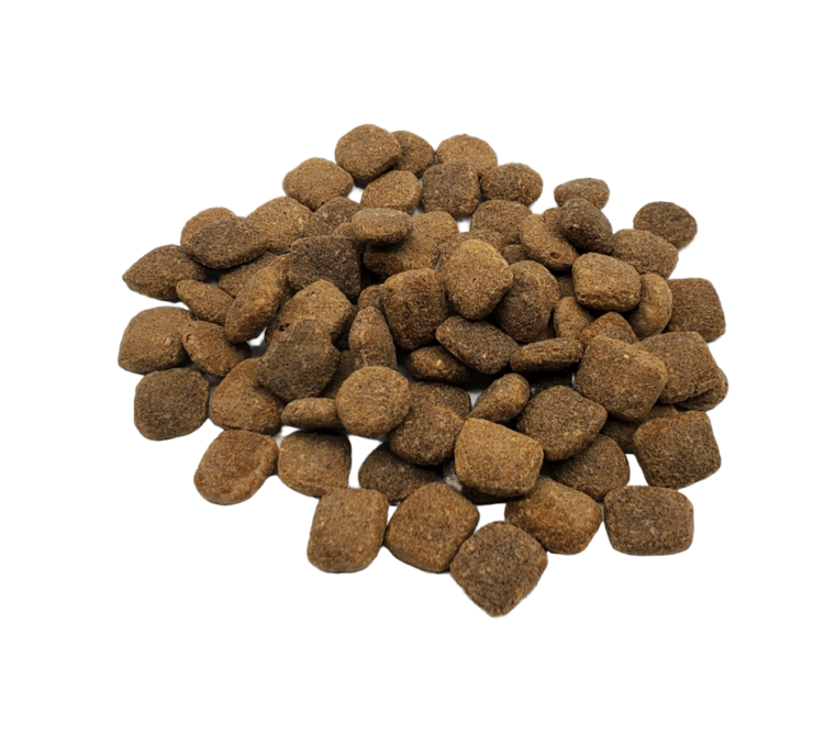 Rawz Rawz - Dog - Fish