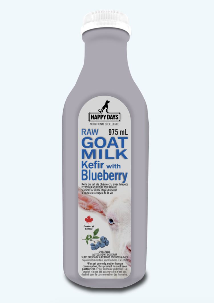 Happy Days Happy Days - Blueberry Goat Milk Kefir