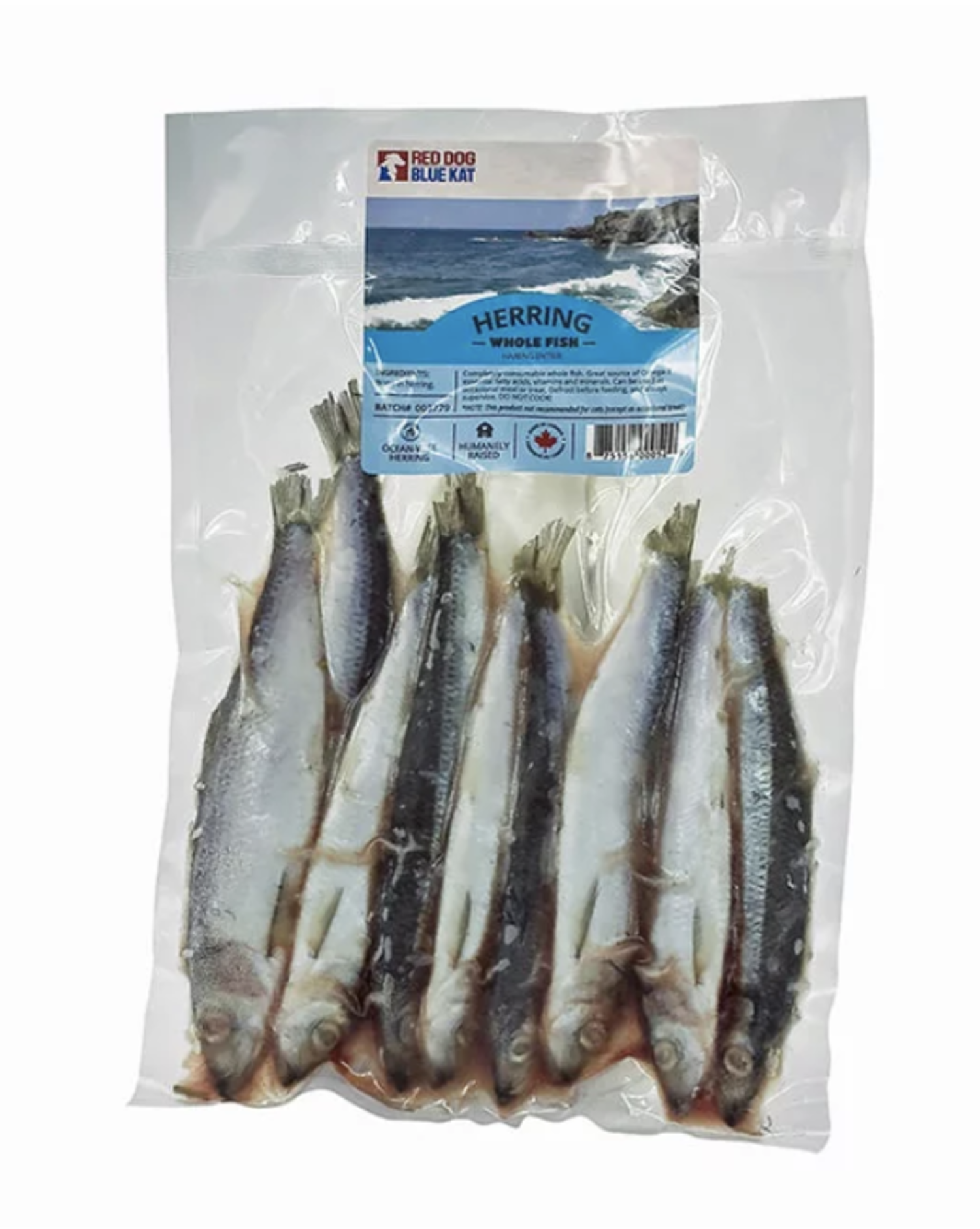 herring for dogs