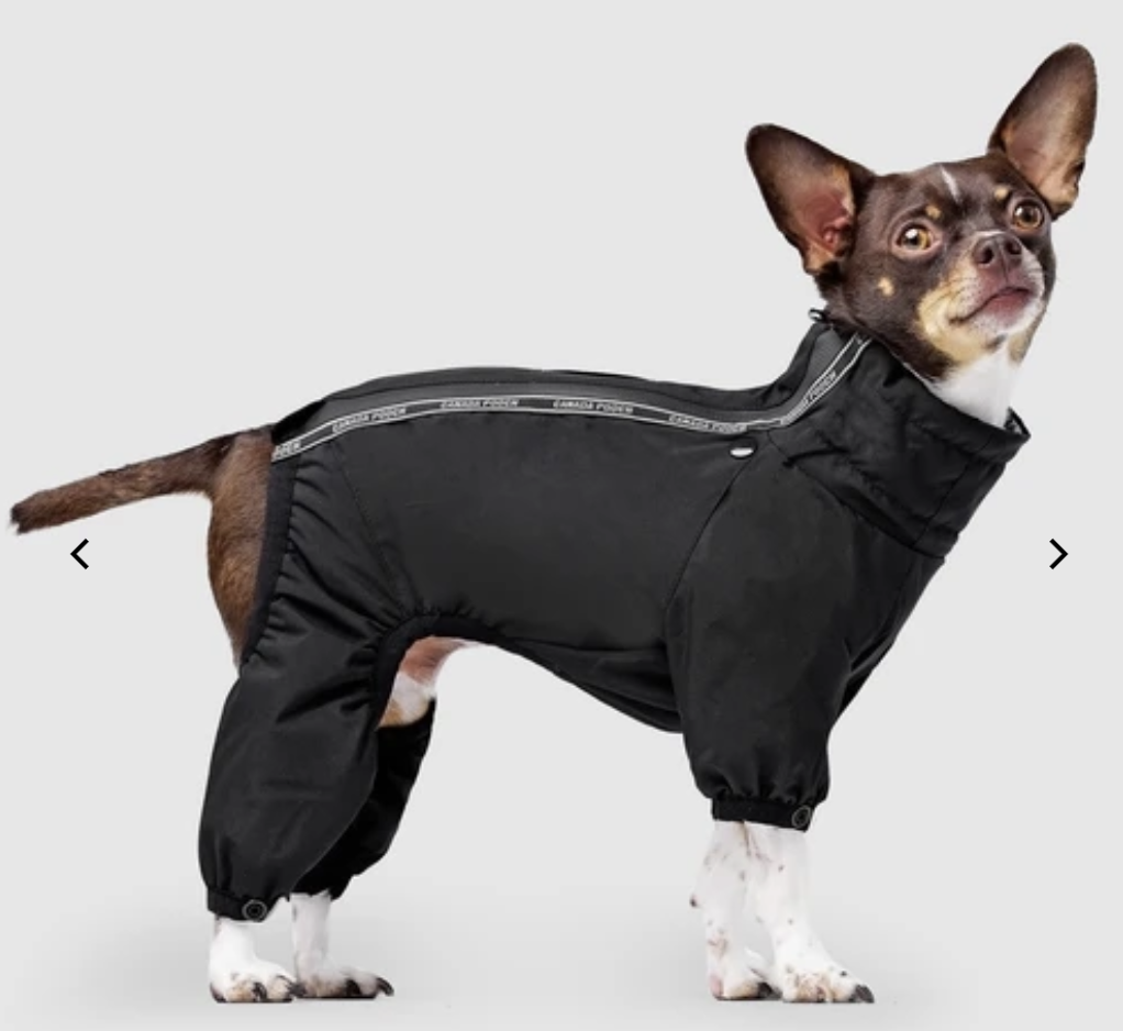 Canada Pooch Canada Pooch - Snowsuit