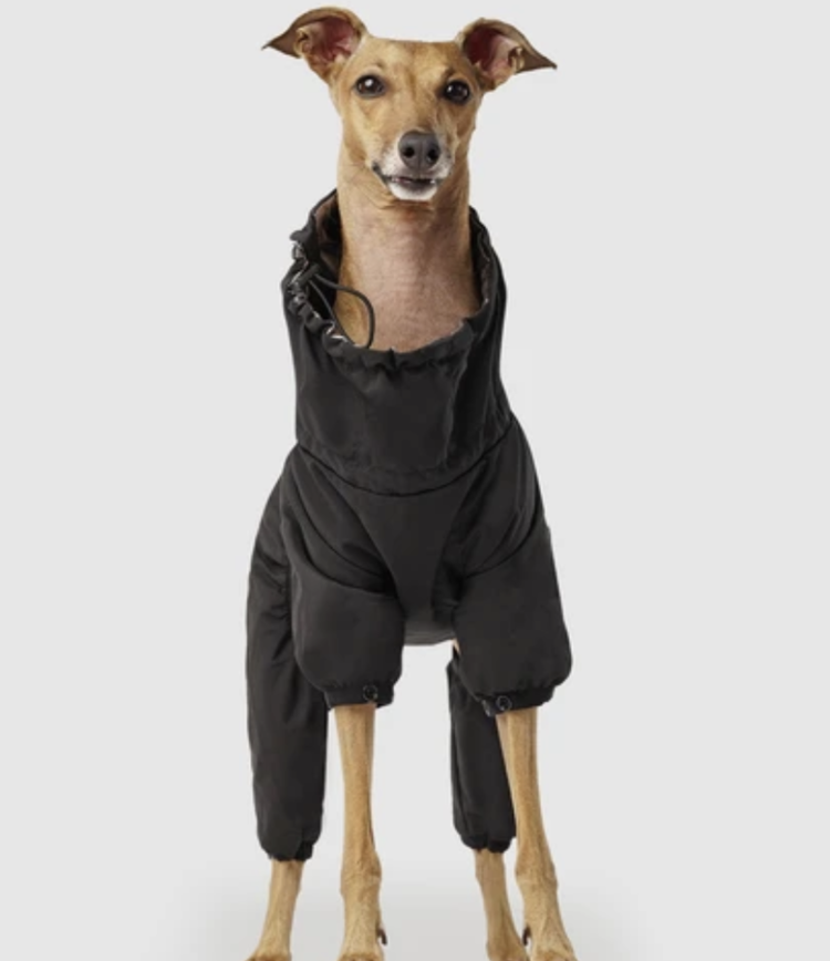 Canada Pooch Canada Pooch - Snowsuit